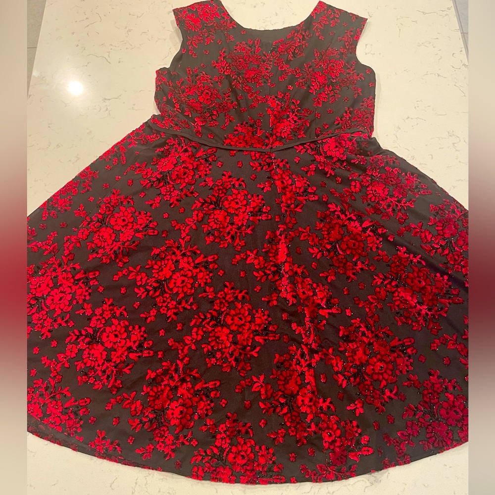 Black & Red Floral dress